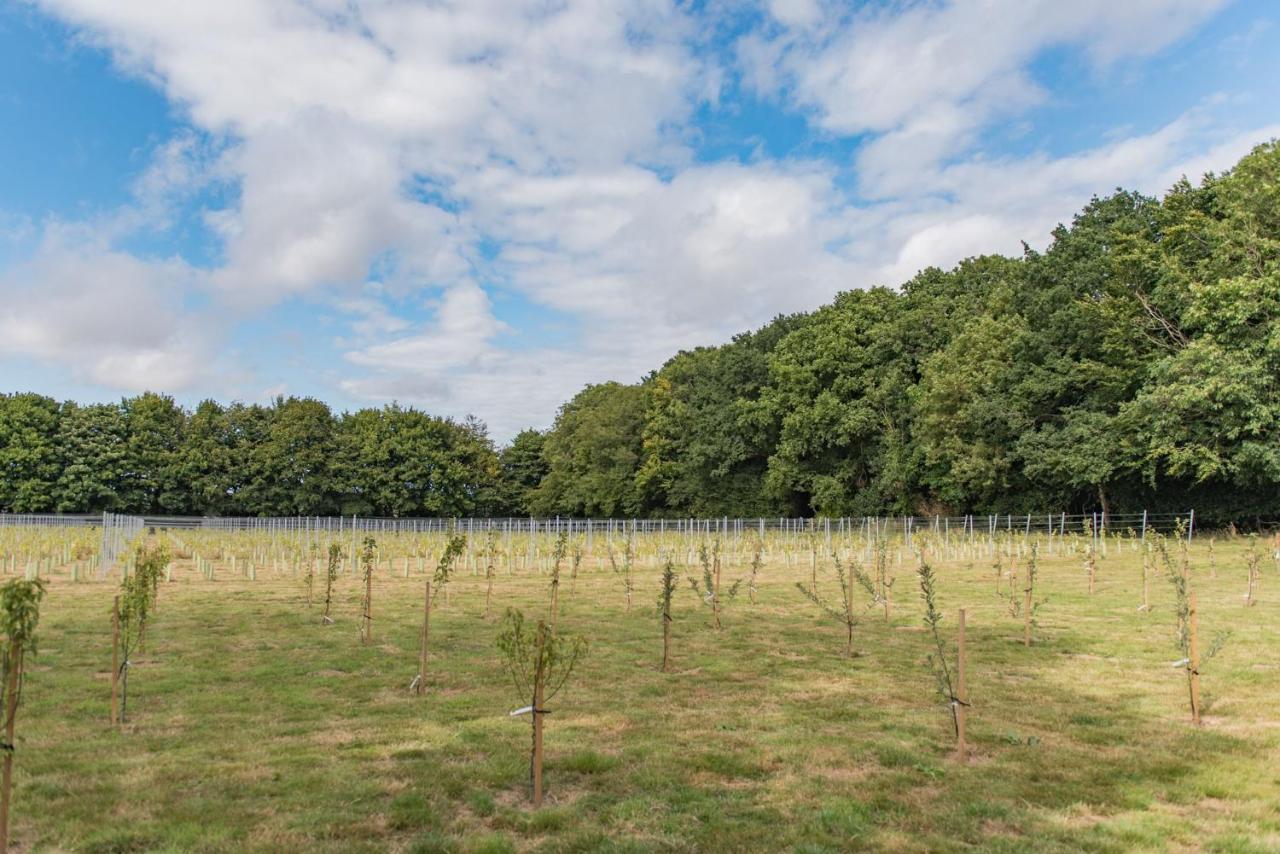 Bacchus By Bloom Stays Canterbury Zewnętrze zdjęcie