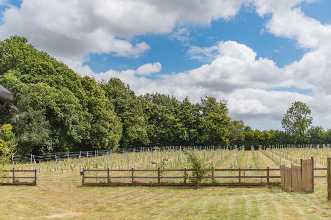 Bacchus By Bloom Stays Canterbury Zewnętrze zdjęcie